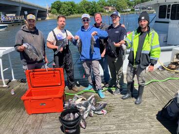 Point Pleasant Report Photo 1