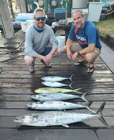 More kings and mahi!