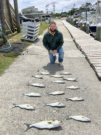 Bluefish and spanish mackeral