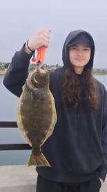 The Halibut are moving in!