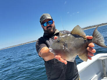 Oceanside Report Photo 2