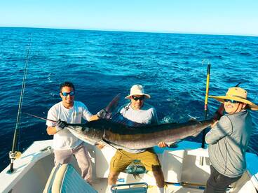 Cabo San Lucas Report Photo 2