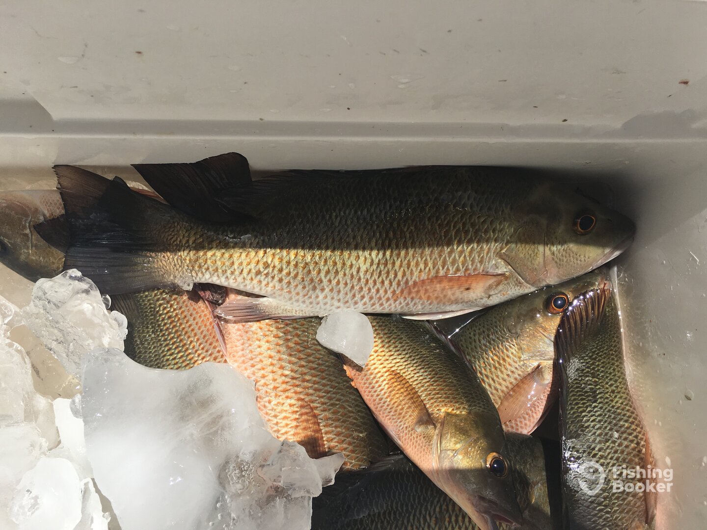 Islamorada Report Photo 0