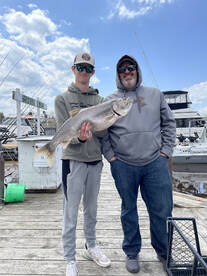 Nice Laker, with a belly full of smelt