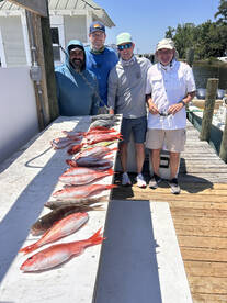 Niceville Report Photo 1