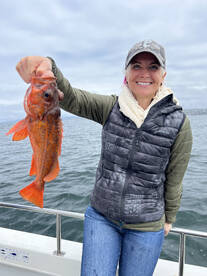 Limits in just 2 hours! 