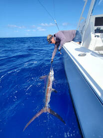 St. Thomas Report Photo 1