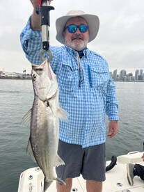 Excellent Fishing in San Diego Bay 