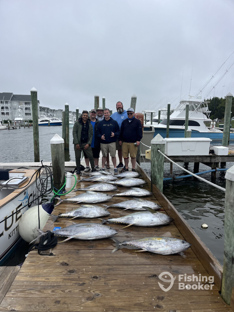 Manteo Report Photo 0