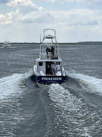 Nags Head Report Photo 2