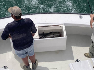 Nags Head Report Photo 1