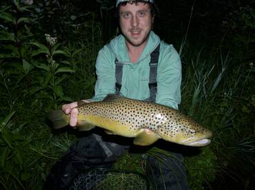 Big browns top water