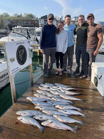 Phenominal Coho Salmon Fishing!!!