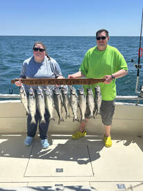 Fish are getting bigger!