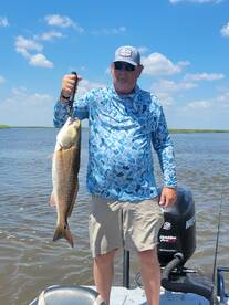 Redfish in the marsh