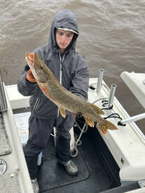 Got this Northern Pike today on Lake Sup
