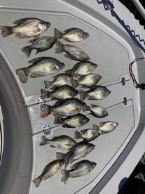 wounded warrior outing