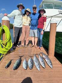 Dania Beach Report Photo 2