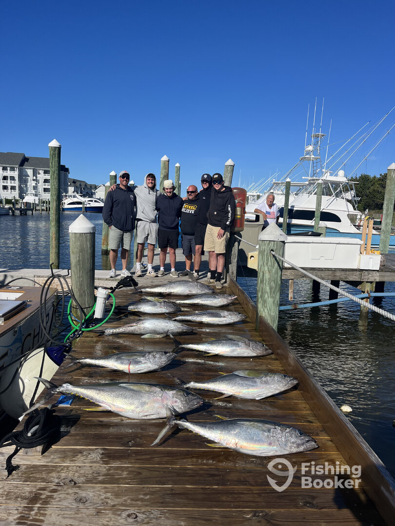 Manteo Report Photo 0