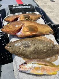 Sumoto Report Photo 3