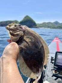 Sumoto Report Photo 2