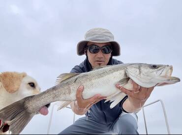 Sumoto Report Photo 1