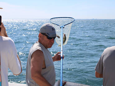 Walleye limits daily!
