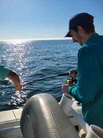 Murrells Inlet Report Photo 2