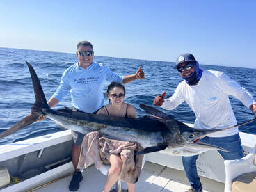 Marlin it’s biting now