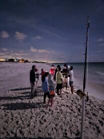 MONSTERS IN THE MOONLIGHT