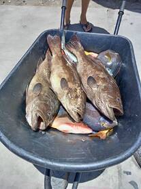 San Jose del Cabo Report Photo 1
