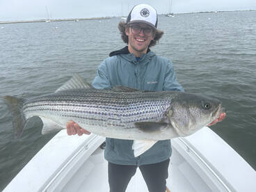 Fish to 43” 