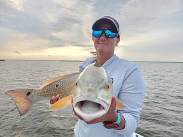 St. Bernard Report Photo 2