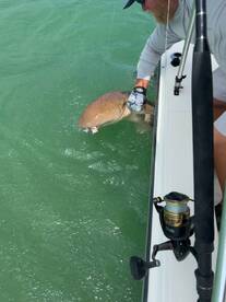 Summerland Key Report Photo 2