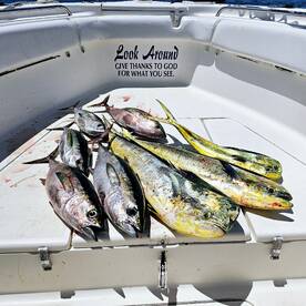 North Myrtle Beach Report Photo 2