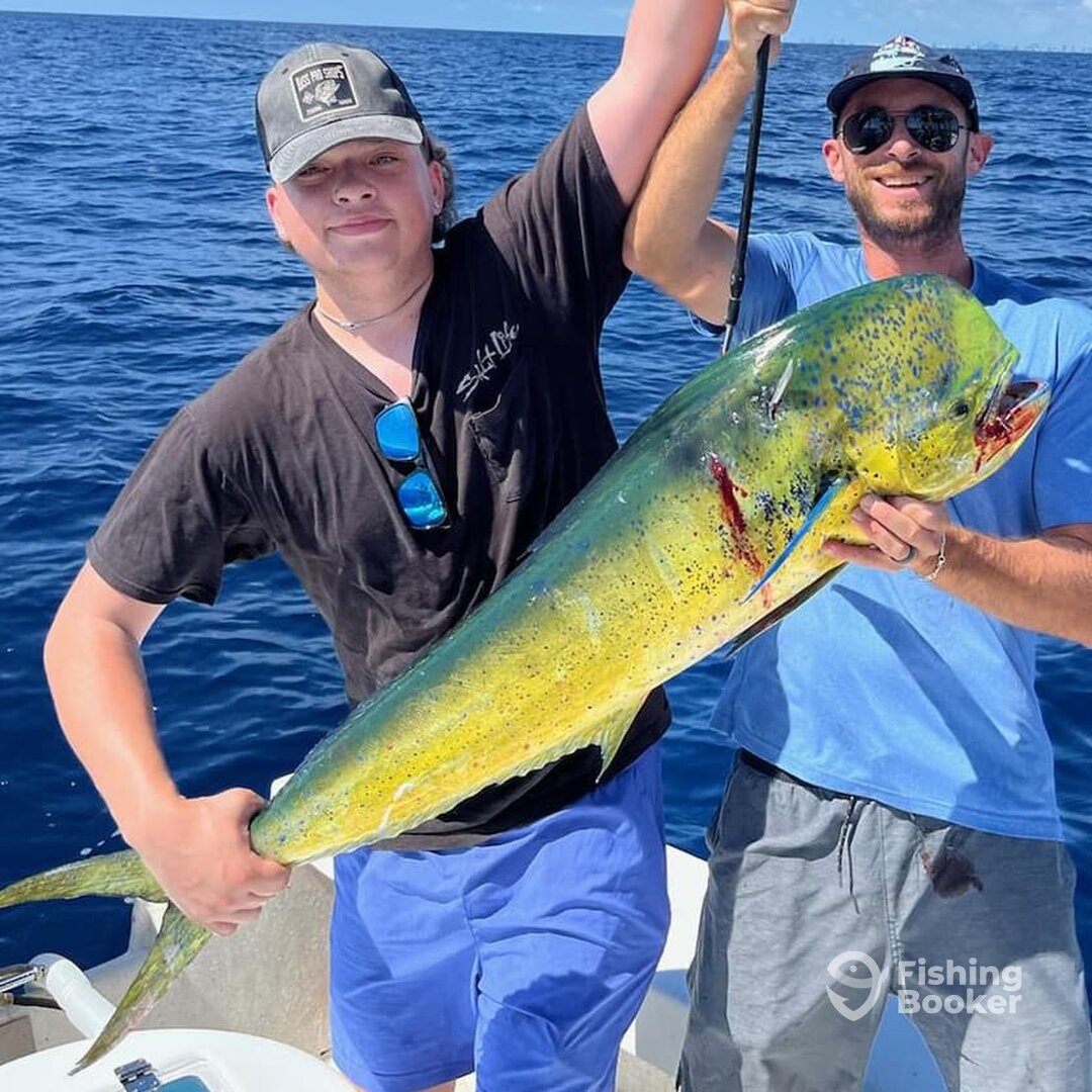 Fort Lauderdale Report Photo 0