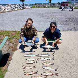 Blue fish and spanish 