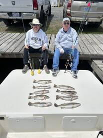 Best trout fishing in years!