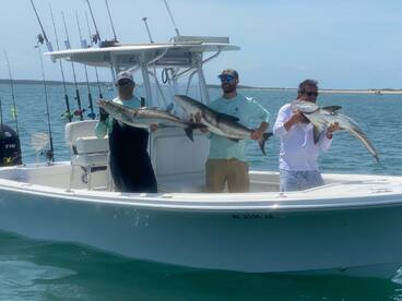 Beaufort Report Photo 2