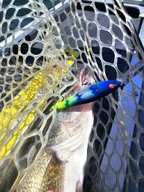 Lakeside Marblehead Report Photo 2