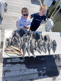Sea Bass