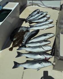 Montauk Report Photo 2