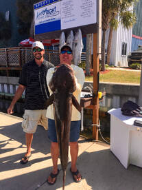 Destin Report Photo 1