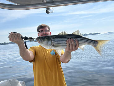 Leonardtown Report Photo 1