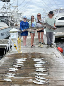 Wanchese Report Photo 2