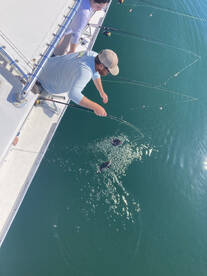 Nags Head Report Photo 1