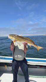 Virginia Beach Report Photo 2