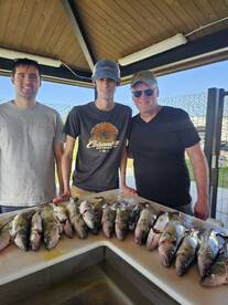 Walleye showdown slowdown