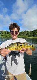 Gamboa Report Photo 1