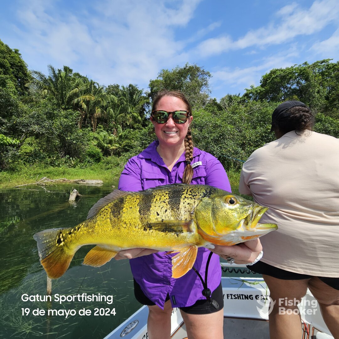 Gamboa Report Photo 0